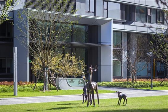 今年会 | 官方网站