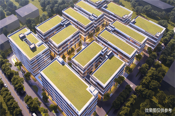 今年会 | 官方网站